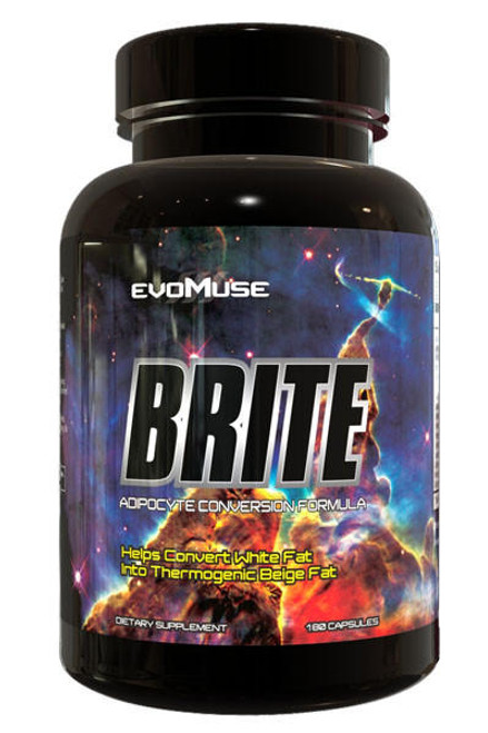 EvoMuse Brite by EvoMuse