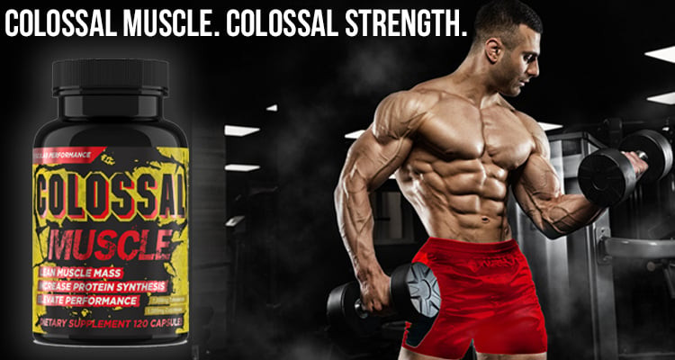 Colossal Muscle by Hard Rock Supplements