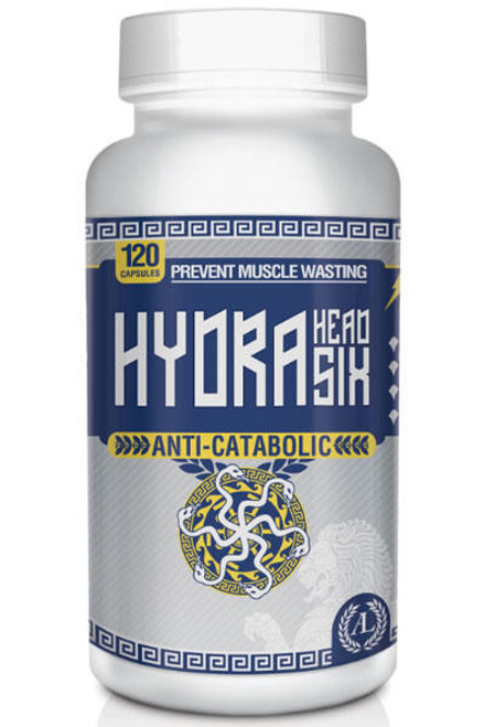 Antaeus Labs Hydra Head Six by Antaeus Labs