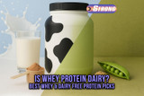 Is Whey Protein Dairy? Best Whey & Dairy Free Protein Picks