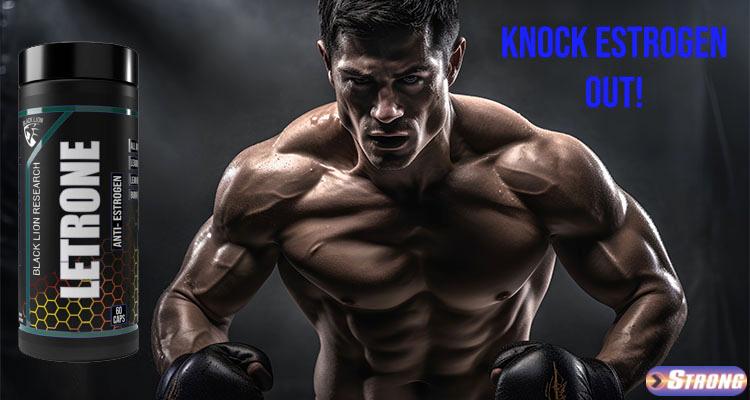 Letrone by Black Lion Research