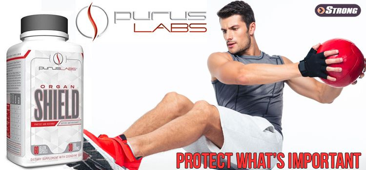 Organ Shield by Purus Labs