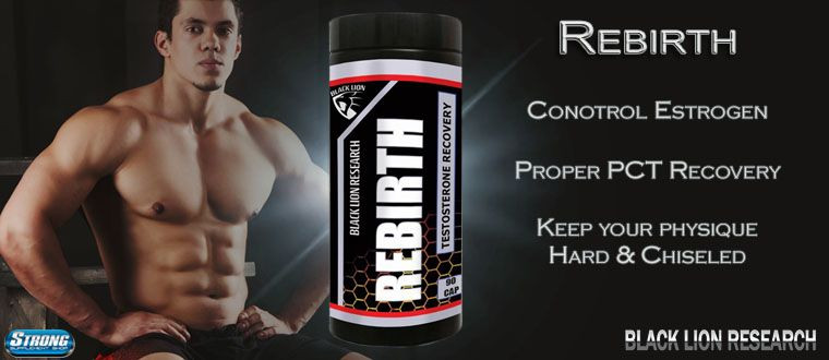 Rebirth by Black Lion Research