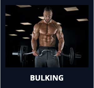 Bulking Supplements