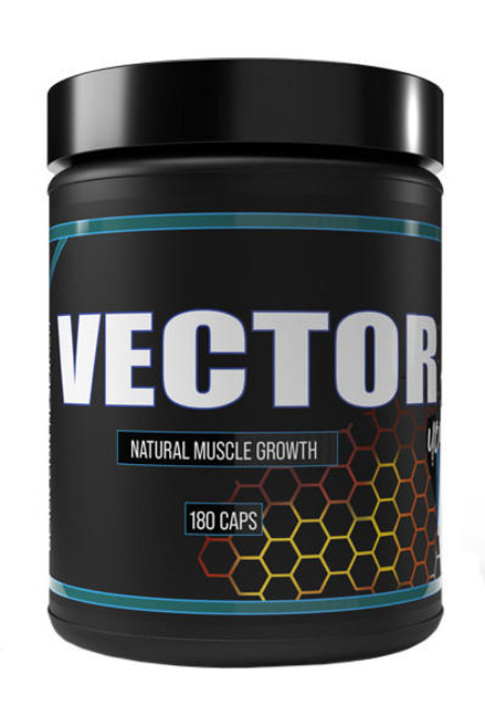 Black Lion Research Vector by Black Lion Research